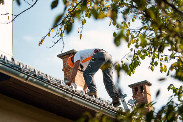 Best Slate Roofing Contractor  in Hilltop, MN